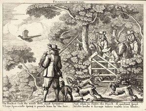 キジの鷹 作： Wenceslaus Hollar